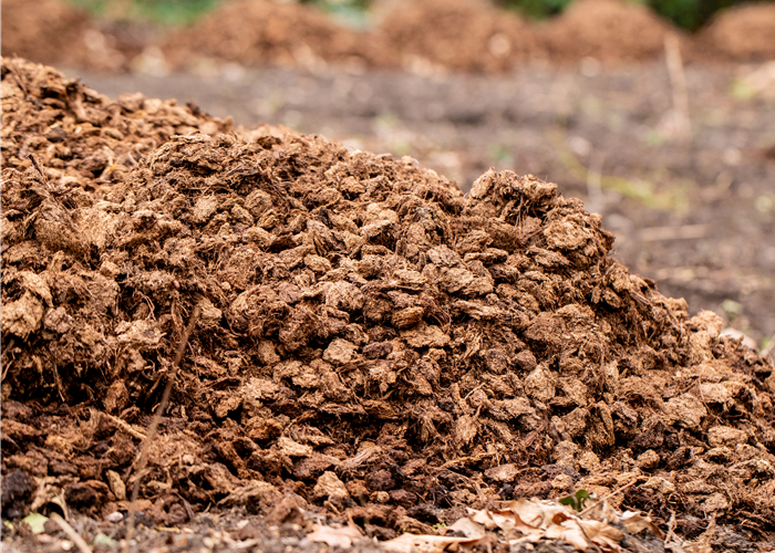 Mulchen leicht gemacht – mit unseren 10 Tipps Mulchen leicht gemacht – mit unseren 10 Tipps