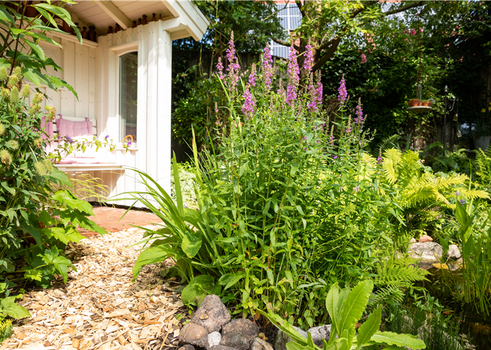 Permakultur im Garten – Nachhaltig und naturnah