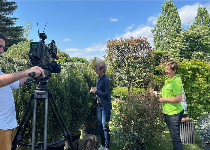 ORF Gartentipp 30.05.2025 - Blickschutz ORF Gartentipp 30.05.2025 - Blickschutz