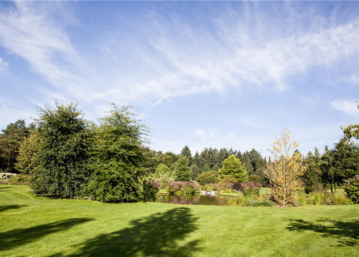 Bewässerungsysteme für einen gesunden und schönen Rasen