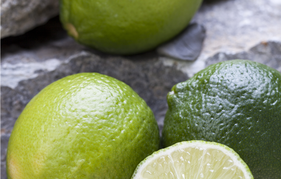 Citrus aurantifolia Citrus aurantifolia