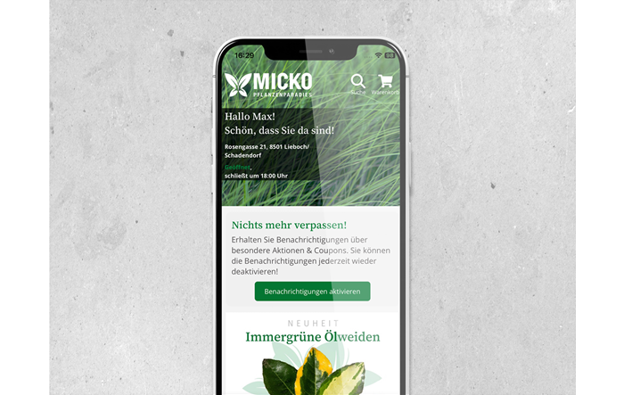 Grafiken_landingpage9.png