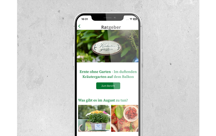 Grafiken_landingpage7.png
