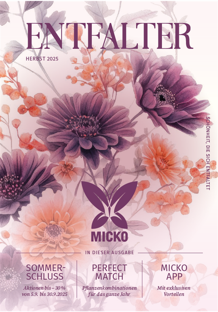 Herbst 2025 Herbst 2025