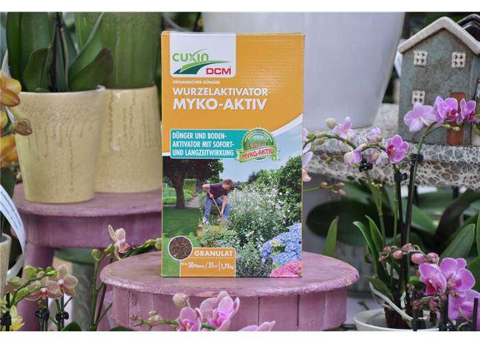 Myko-Aktiv – Wachstumswunder aus der Natur Myko-Aktiv – Wachstumswunder aus der Natur