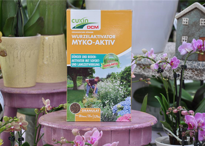 Myko-Aktiv – Wachstumswunder aus der Natur Myko-Aktiv – Wachstumswunder aus der Natur