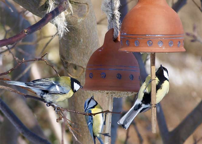 Meisenglocken selbst gemacht Meisenglocken selbst gemacht