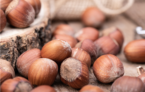 Corylus av. 'Hallesche Riesennuß'