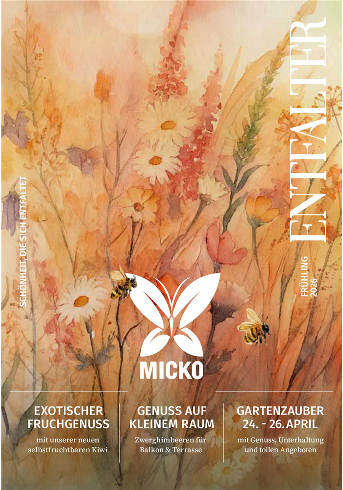 Frühling 2026