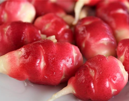 Oxalis tuberosa Oca