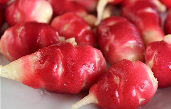 Oxalis tuberosa Oca