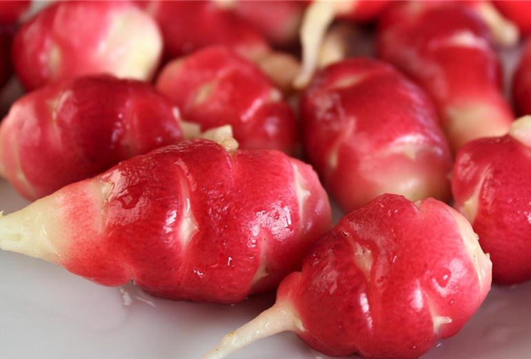 Oxalis_Oca_Tuberosa.jpg