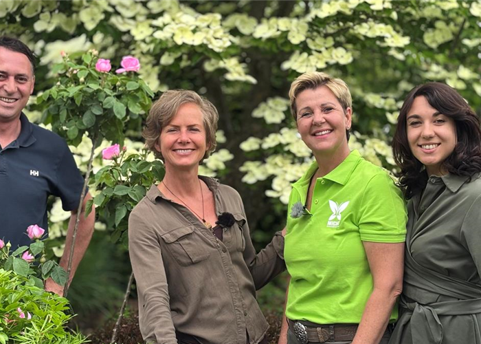 ORF Gartentipp 22.05.2026 - Essbarer Sauerklee, Choysia und Miscanthus