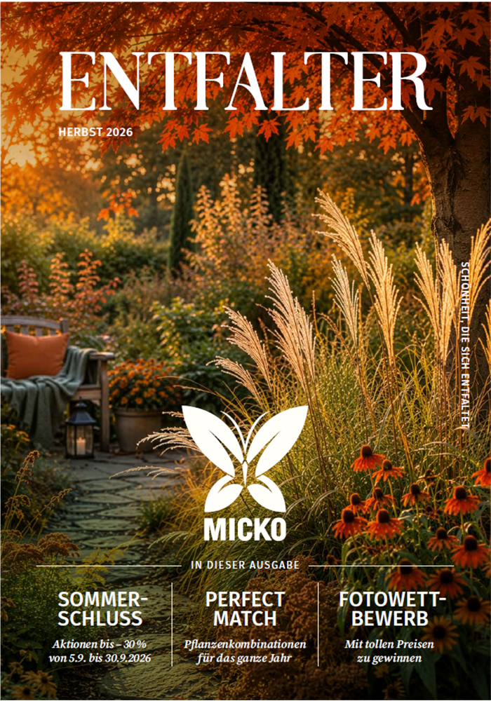 Herbst 2026