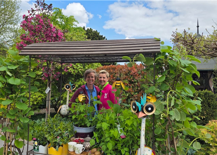 ORF Gartentipp 26.04.2026 - Zwerghimbeeren, Kiwi und Teekamelien