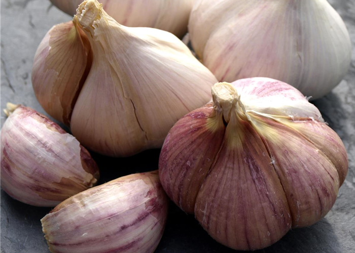 Knoblauch-die tolle Knolle Knoblauch-die tolle Knolle