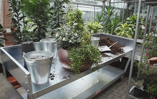 Blumenkübel - Dauerhafte Bepflanzung Blumenkübel - Dauerhafte Bepflanzung