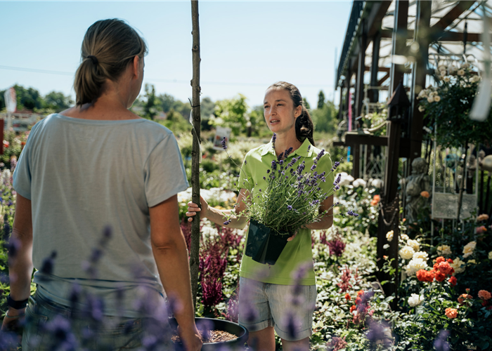 Jobangebote Jobangebote