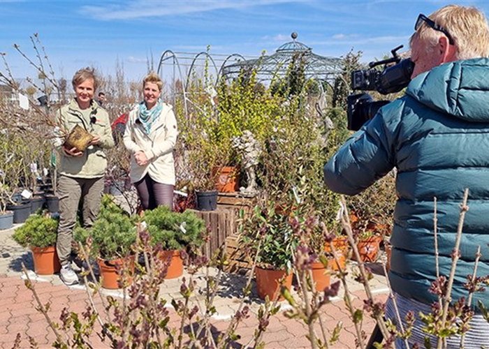 ORF Gartentipp 11.4.2023 Robuste Pflanzen ORF Gartentipp 11.4.2023 Robuste Pflanzen