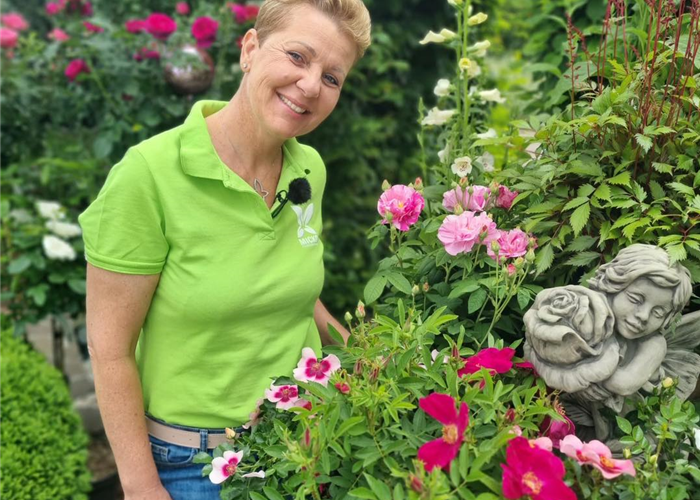 ORF Gartentipp 16.06.2023 Rosen ORF Gartentipp 16.06.2023 Rosen