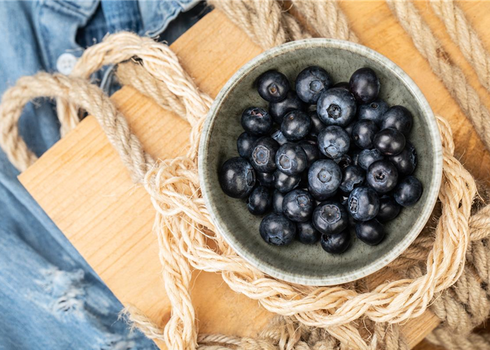 Heidelbeeren als leckerer Snack für Naschkatzen Heidelbeeren als leckerer Snack für Naschkatzen