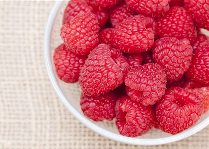 Himbeeren als leckerer Snack für Balkon und Garten Himbeeren als leckerer Snack für Balkon und Garten