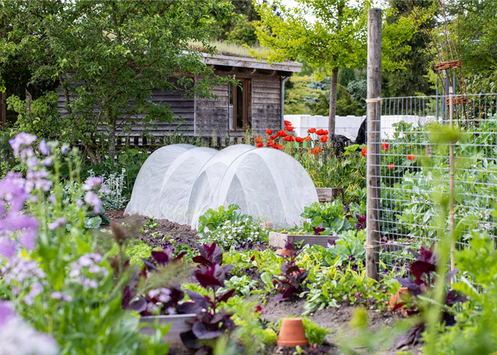 Ein Selbstversorgergarten sorgt für Freiheit Ein Selbstversorgergarten sorgt für Freiheit